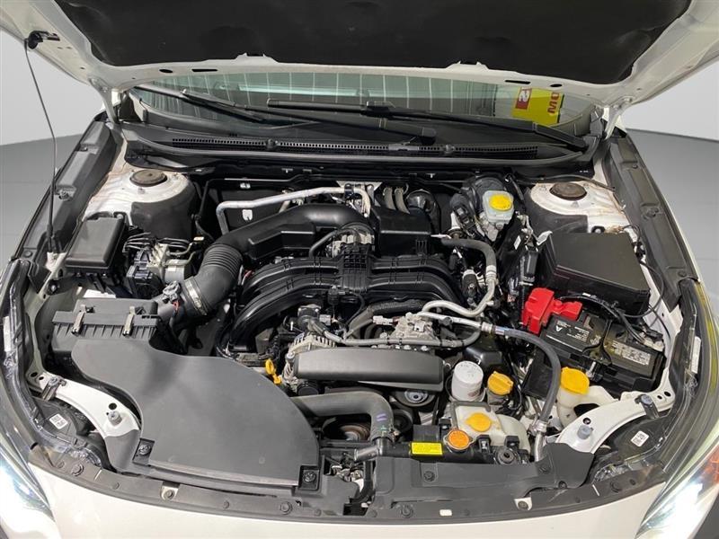 Subaru Outback Premium 2024