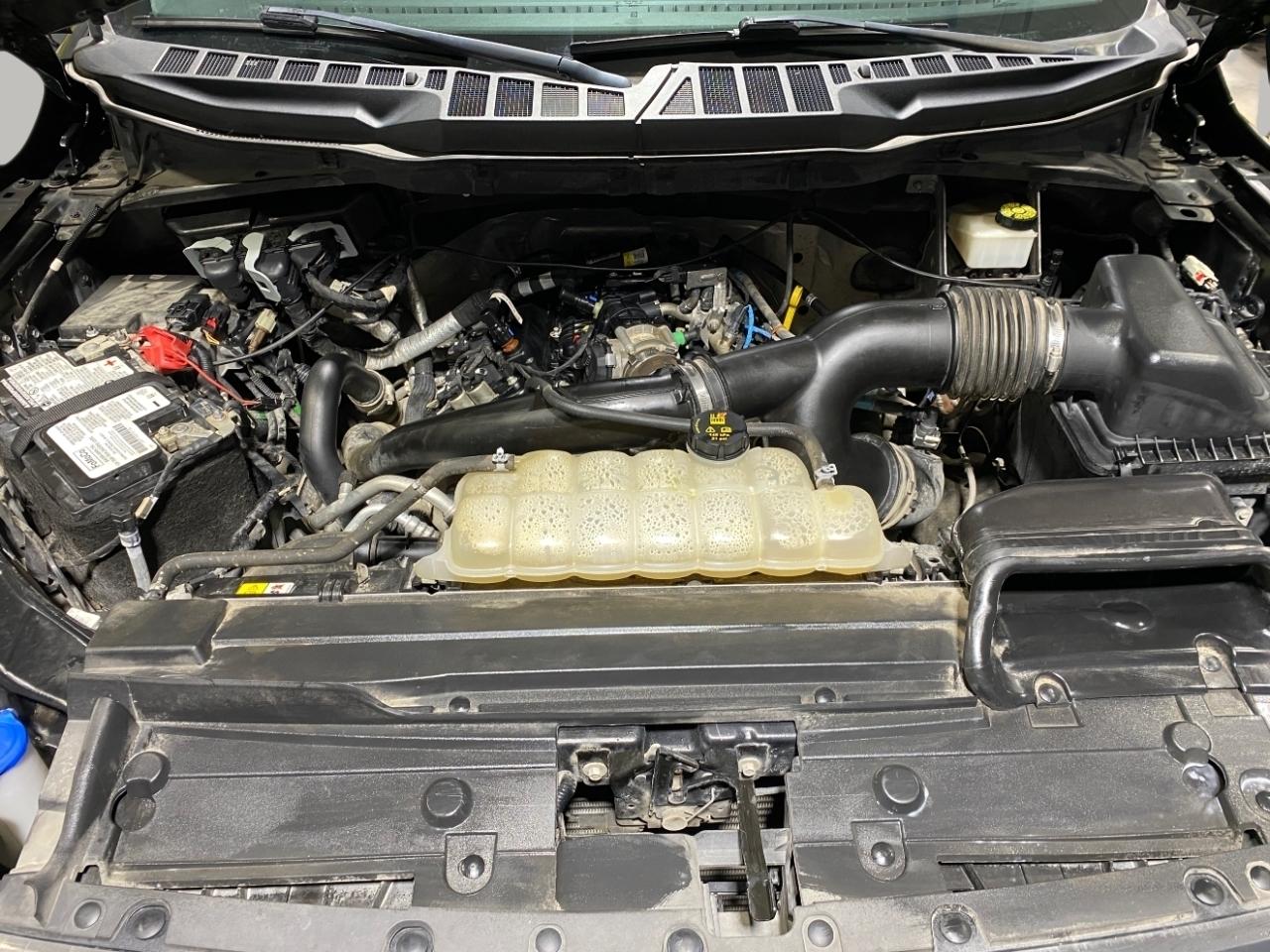 Ford F-150 XLT SuperCrew 5.5-ft. Bed 4WD 2021