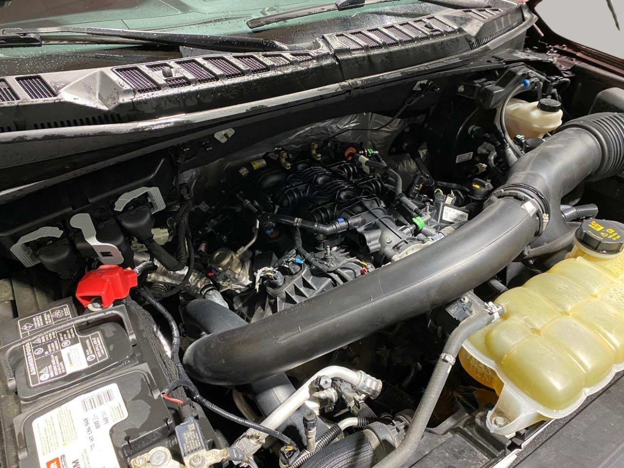 Ford F-150 XLT SuperCrew 5.5-ft. Bed 4WD 2020