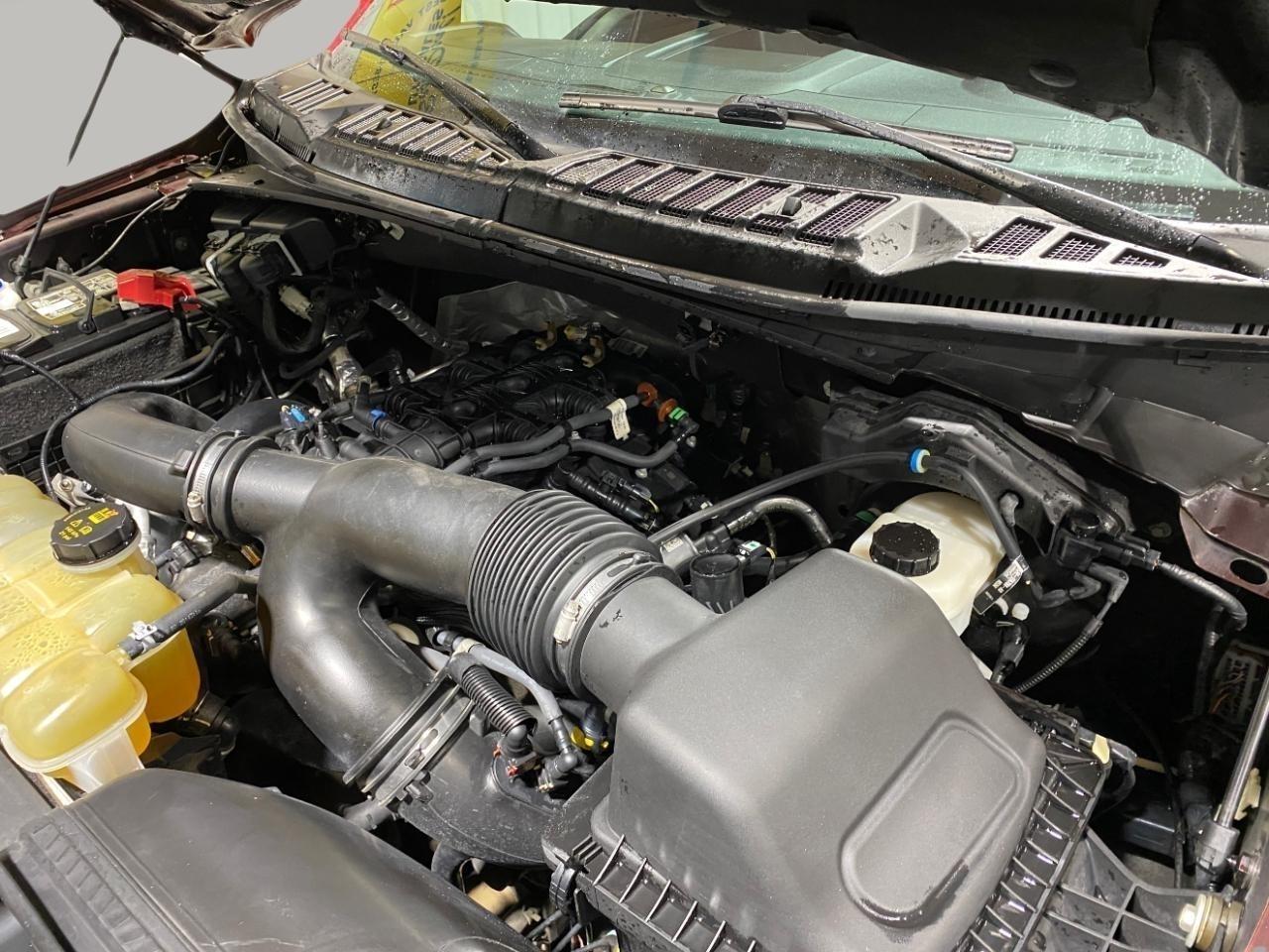 Ford F-150 XLT SuperCrew 5.5-ft. Bed 4WD 2020