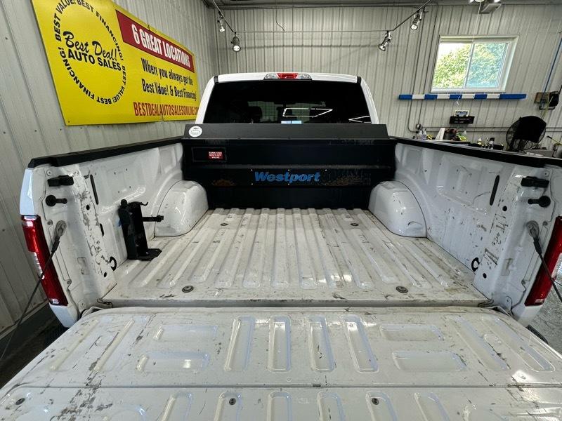 Ford F-150 XLT SuperCrew 6.5-ft. Bed 4WD 2020
