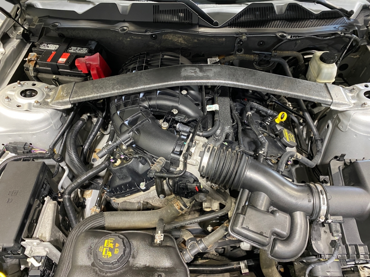 2014 Ford Mustang V6 photo 20