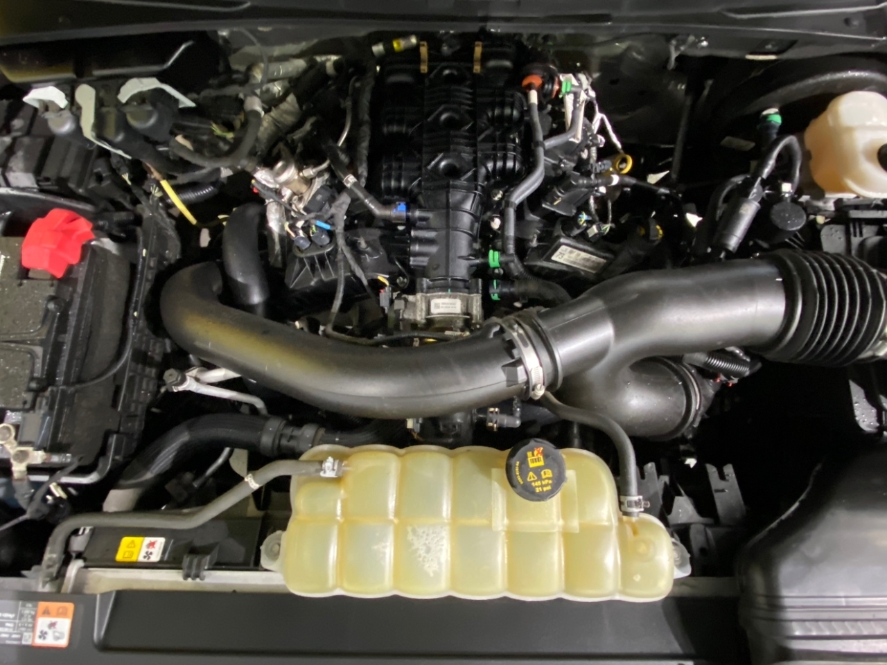 Ford Expedition  2021