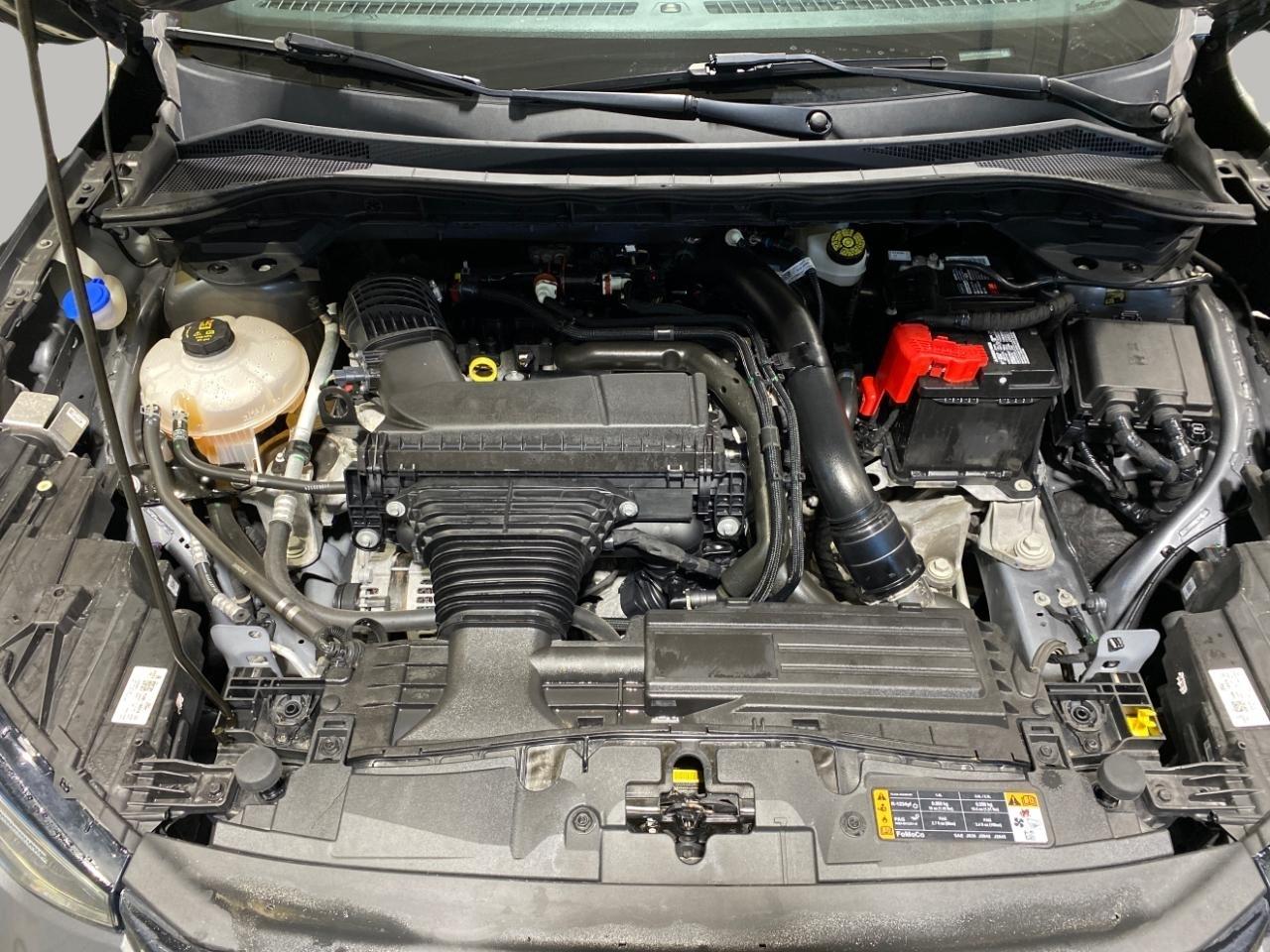 Ford Escape ST-Line Elite AWD 2023