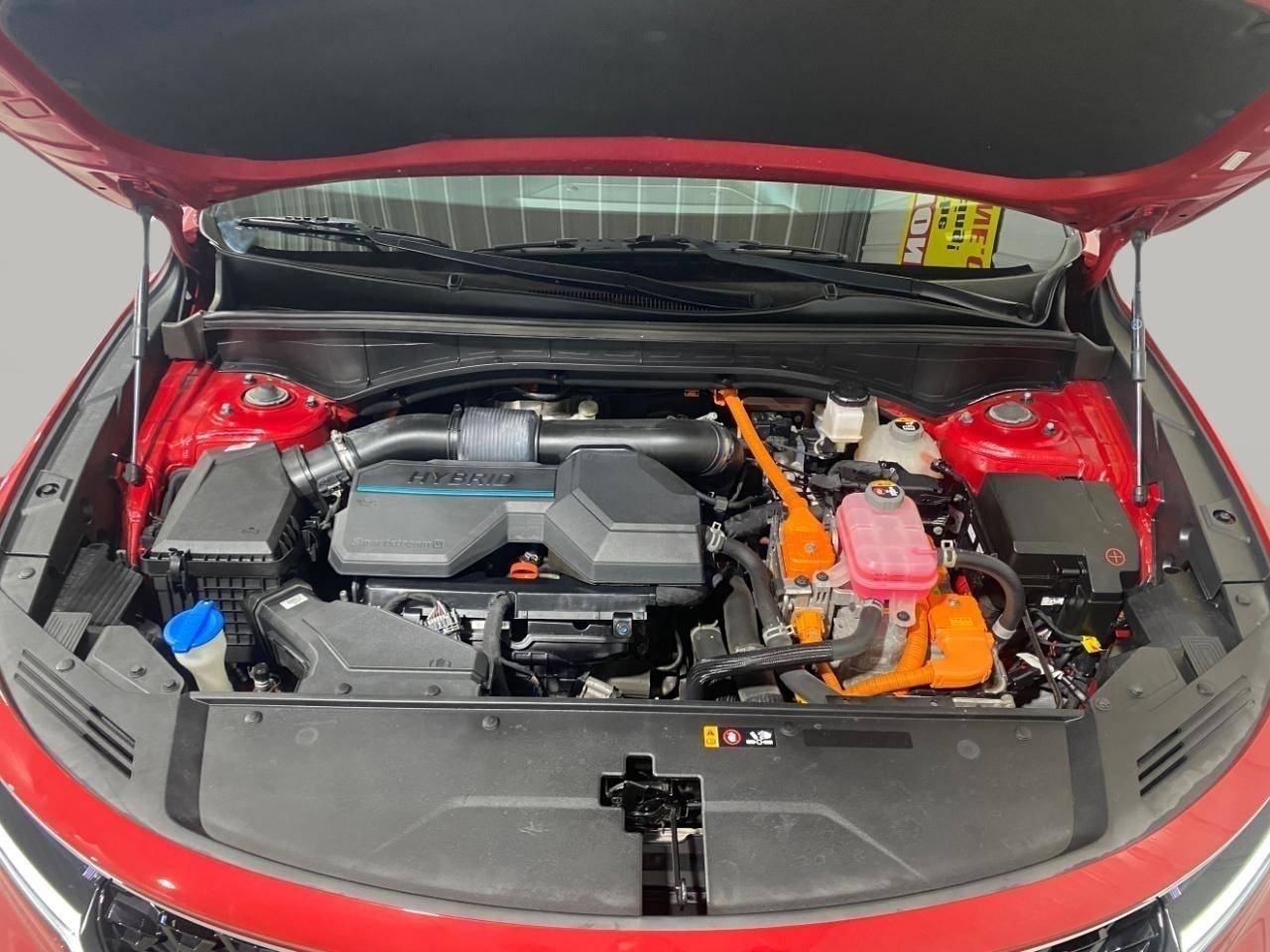 Kia Sorento Hybrid EX 2021