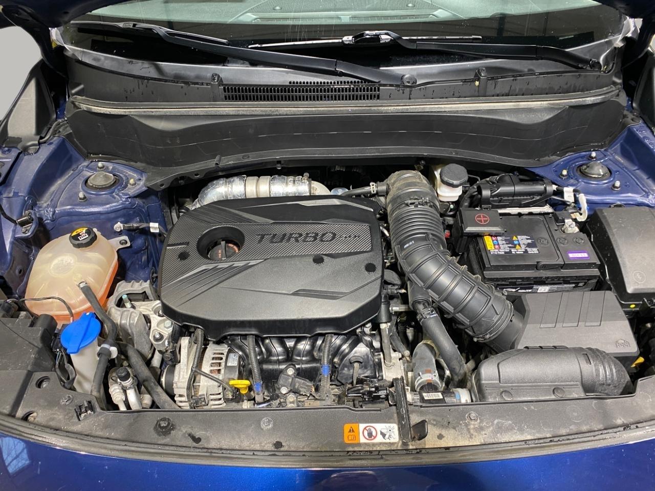 Kia Seltos Nightfall AWD 2022