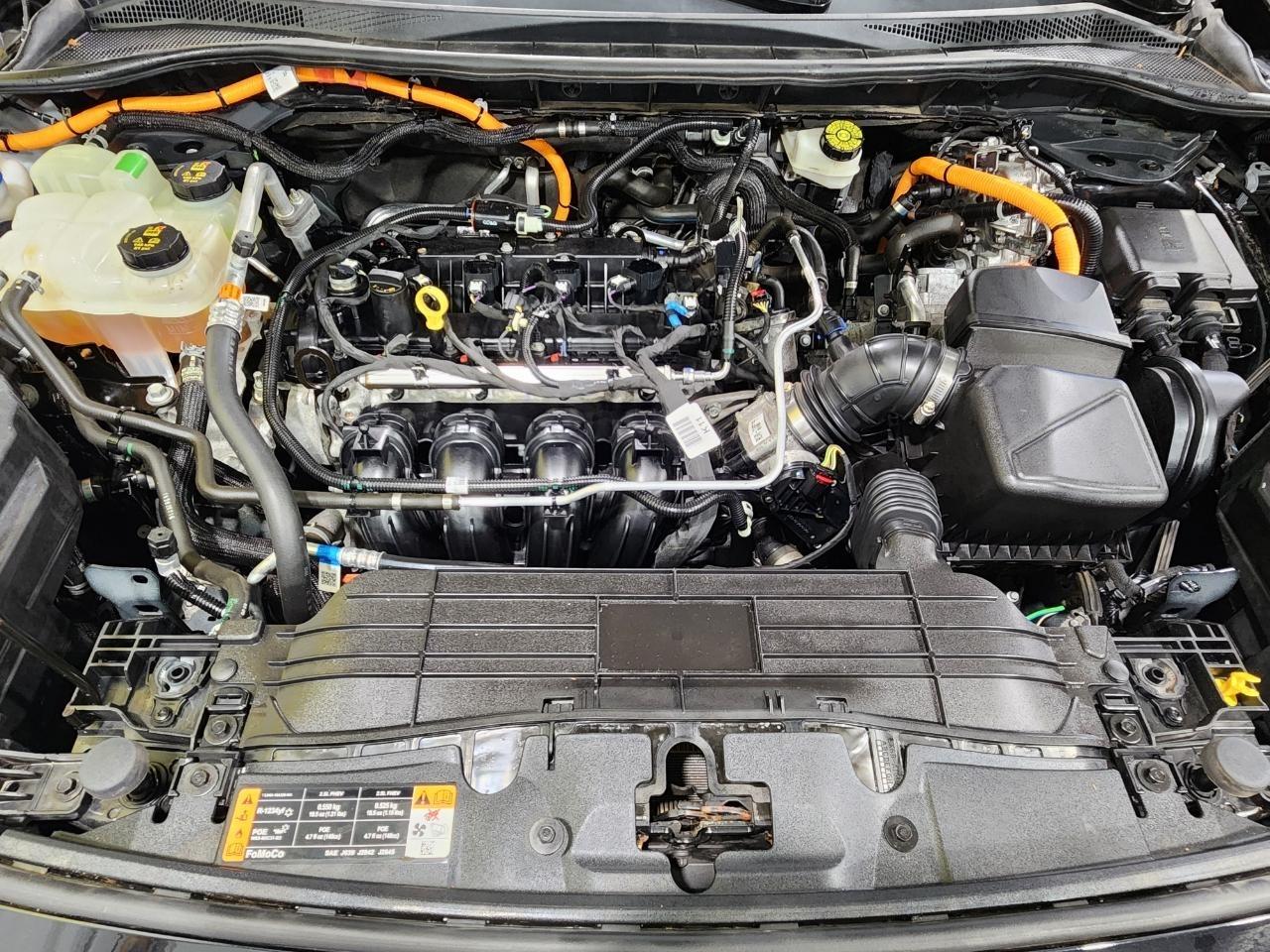 Ford Escape Hybrid  2020