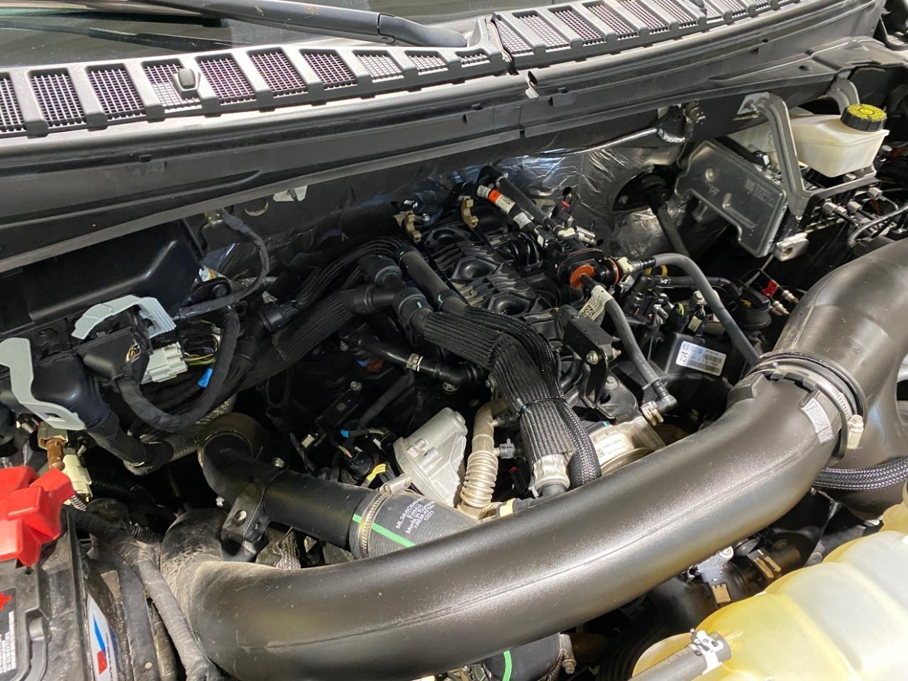 Ford Expedition XLT 4WD 2022