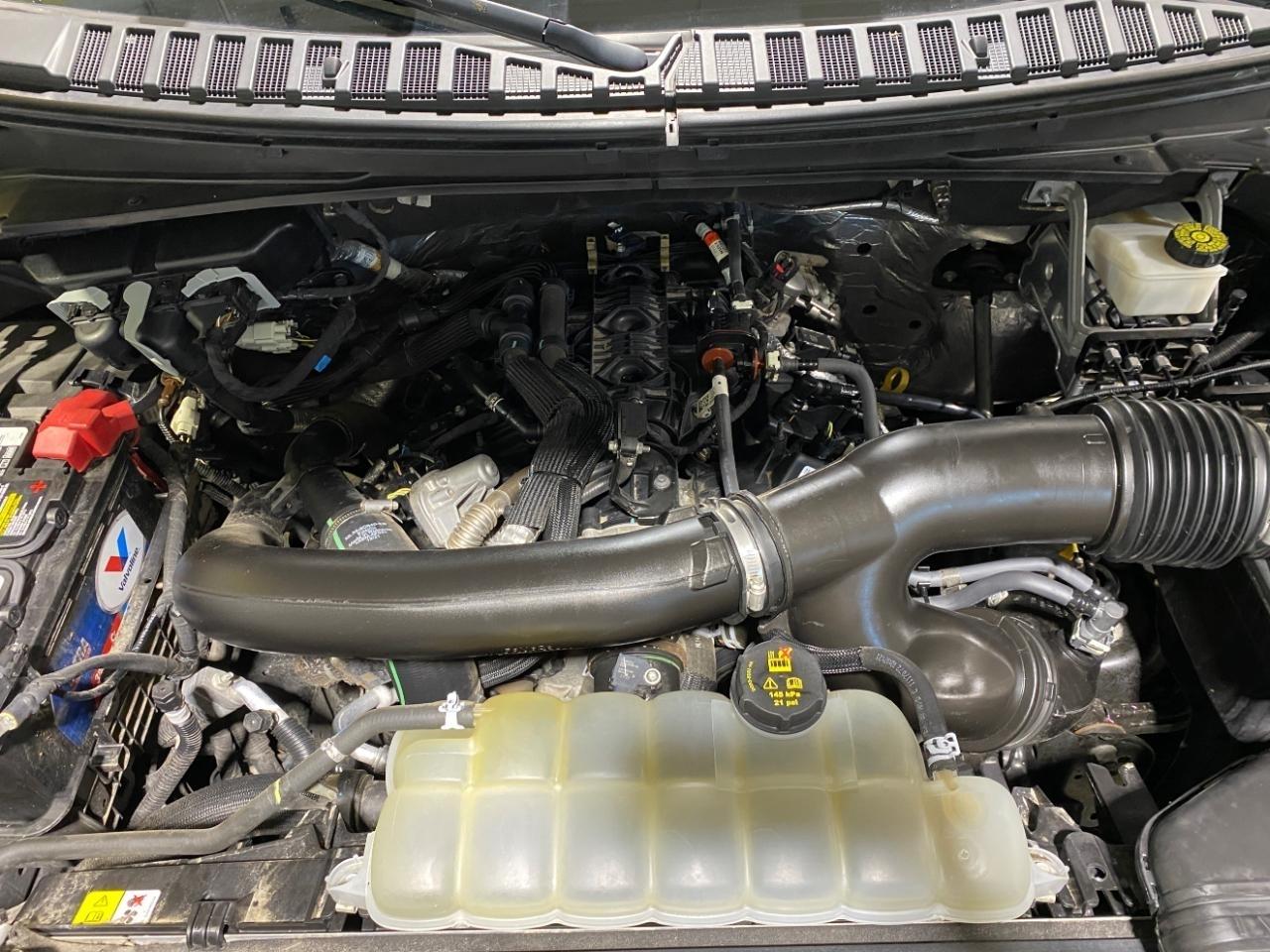 Ford Expedition XLT 4WD 2022