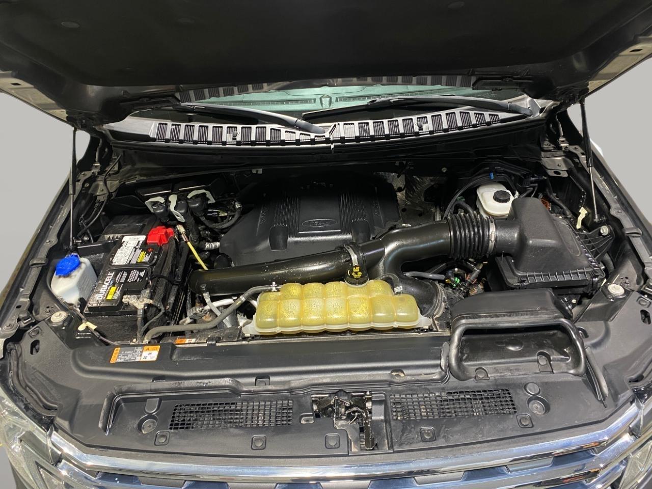 Ford Expedition 4WD 4dr XLT 2020