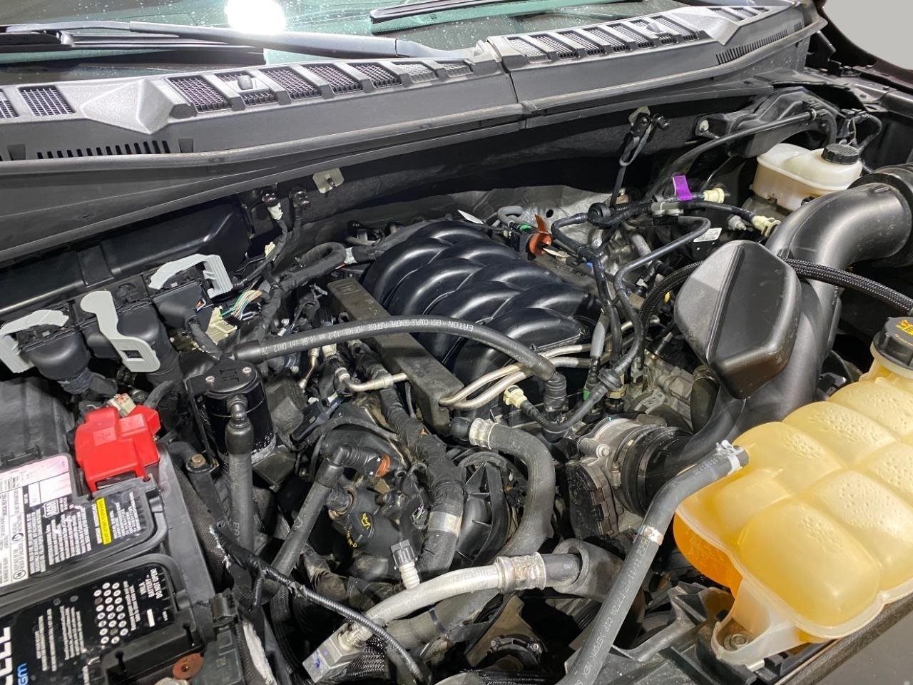 Ford F-150 XLT 4WD SuperCrew 5.5' Box 2018