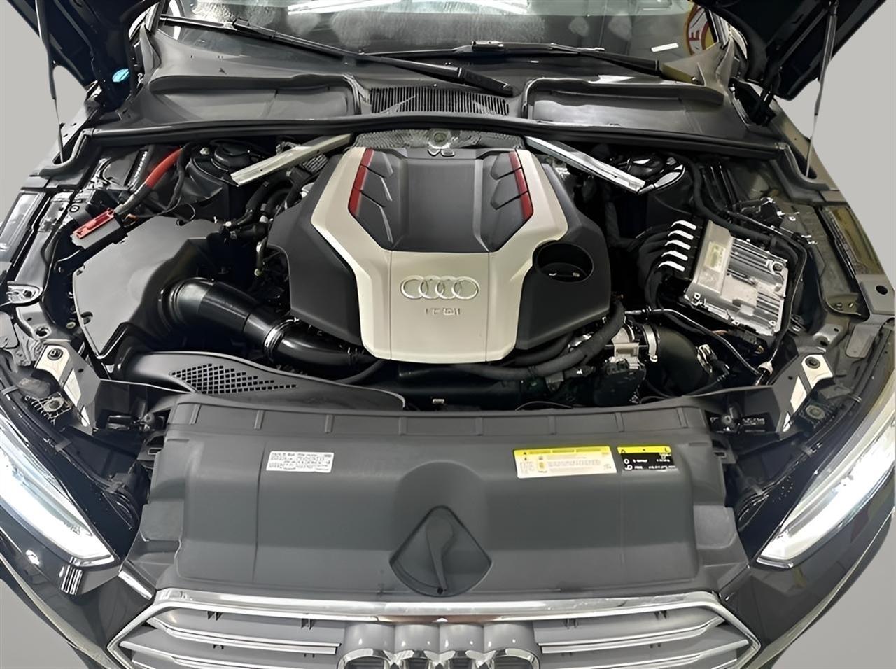 Audi S5 Premium Plus Coupe quattro 2019