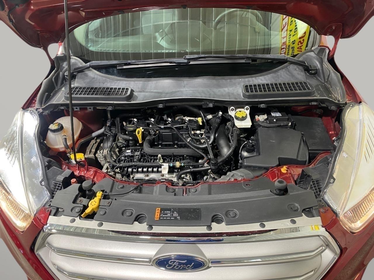 Ford Escape SE 4WD 2019