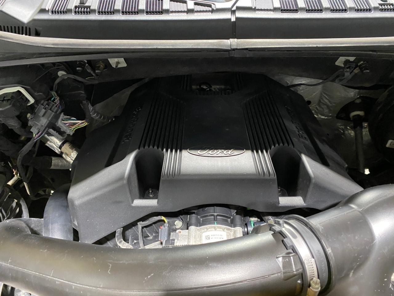 Ford F-150  2019