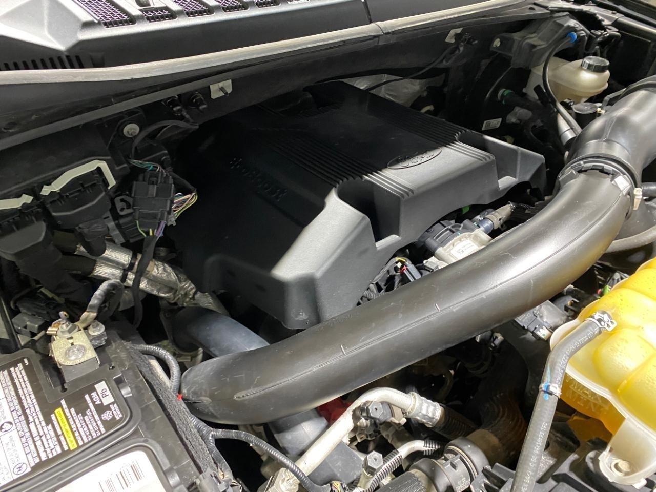 Ford F-150  2019