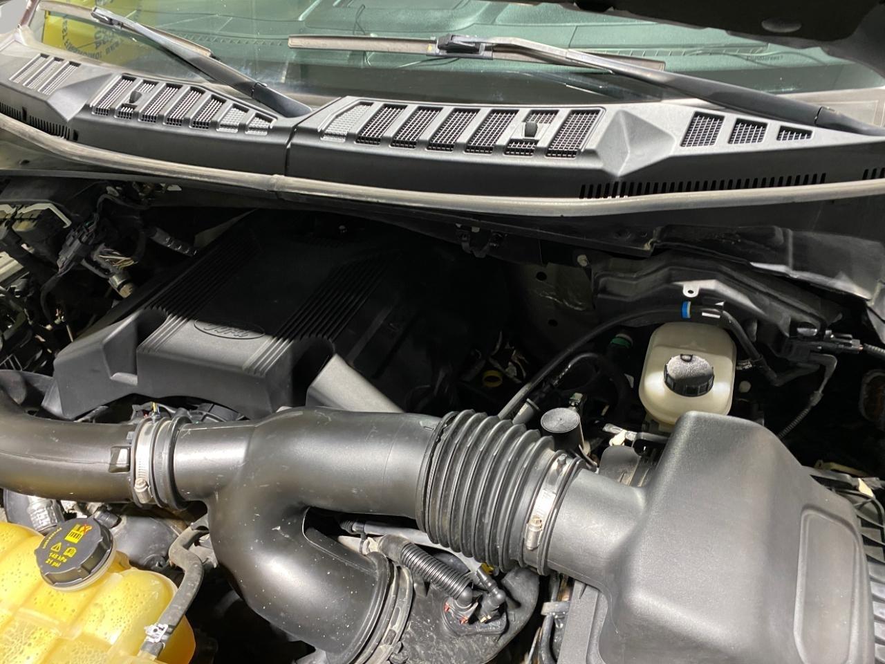 Ford F-150  2019