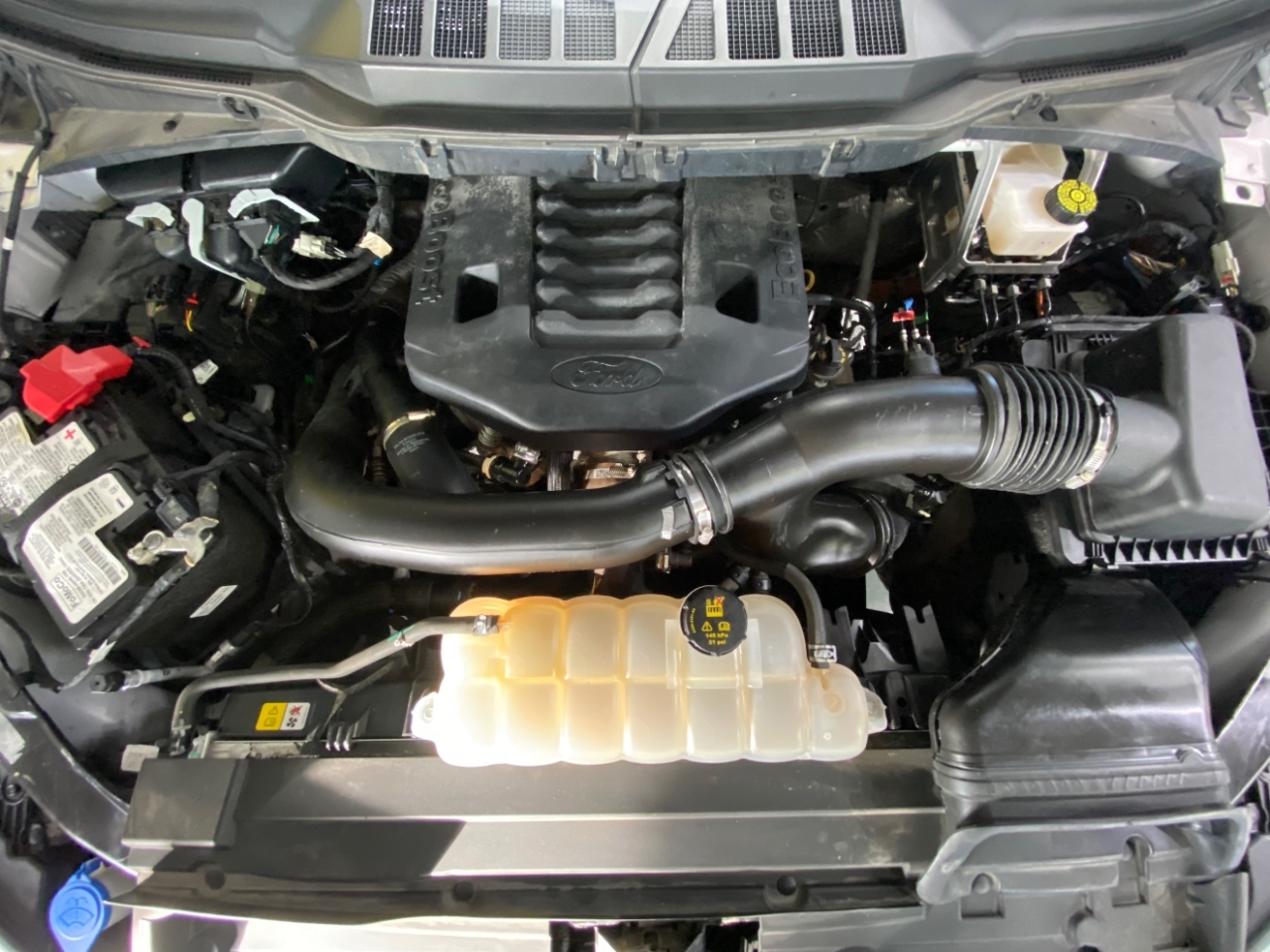 Ford F-150 XLT 4WD SuperCrew 5.5' Box 2021