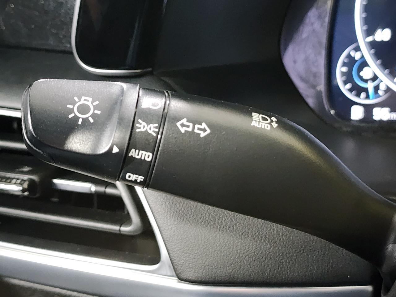 Hyundai Palisade  2020