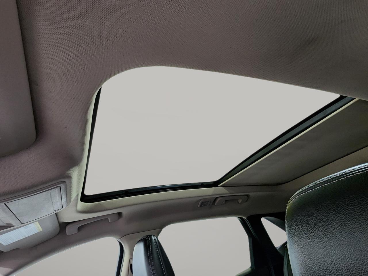 Ford Escape  2020