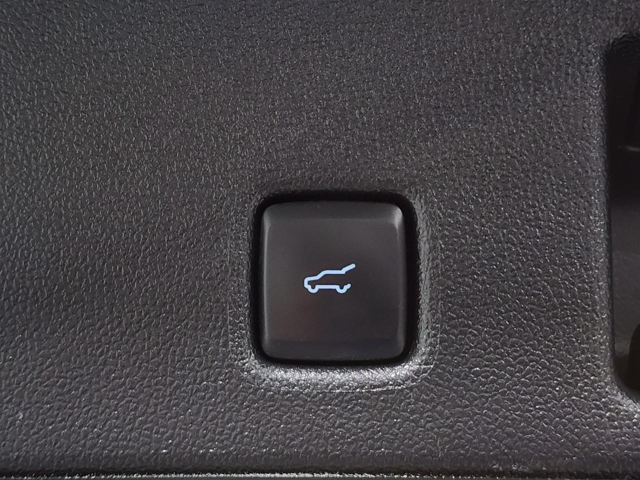 Ford Escape  2020