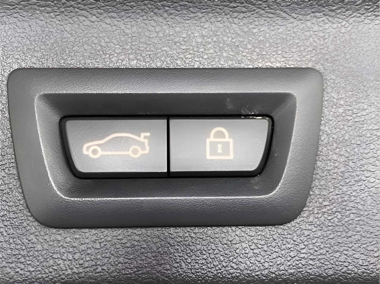BMW X3 sDrive30i Sports Activity Vehicle 2021