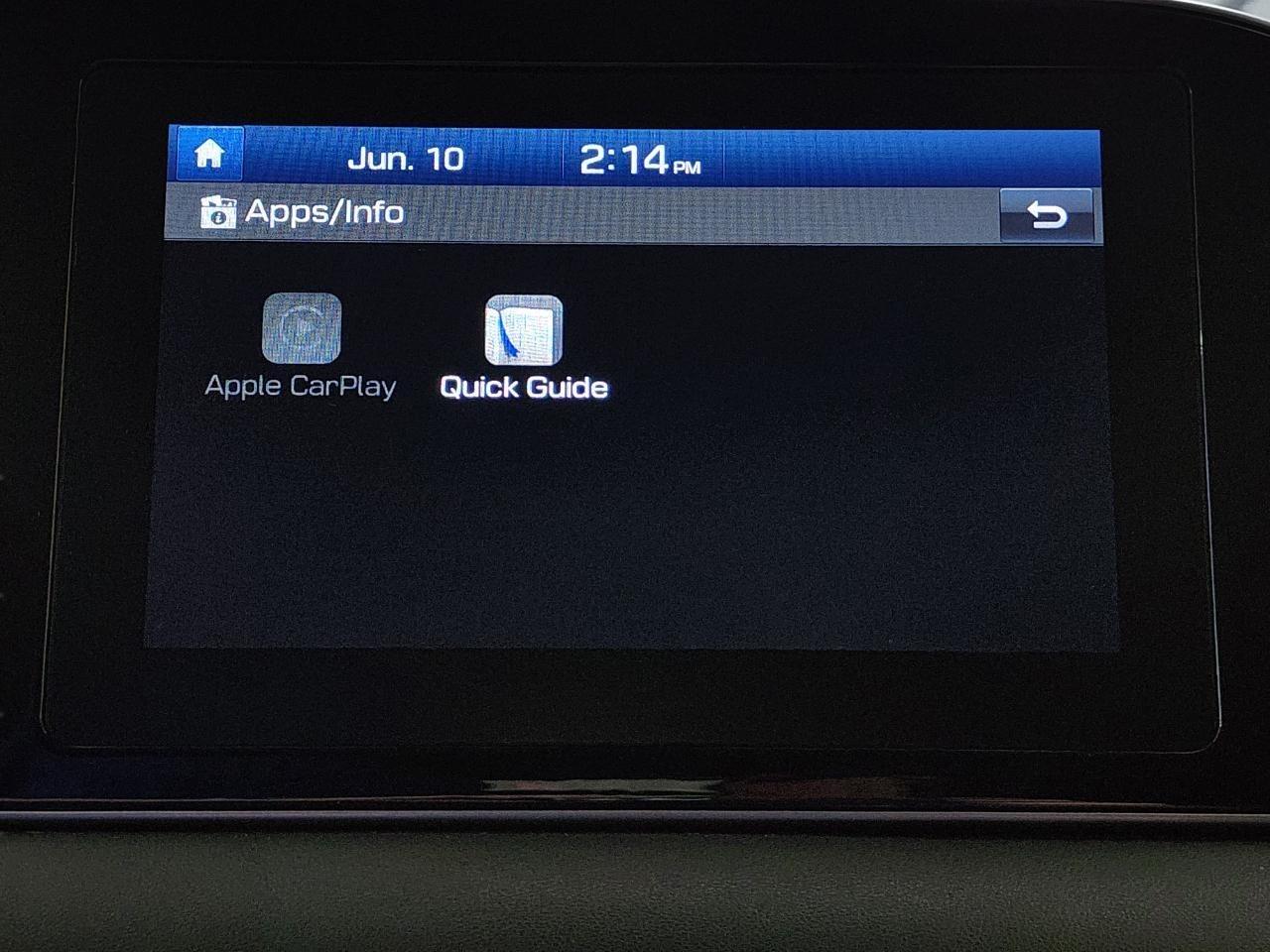 Hyundai Palisade  2020