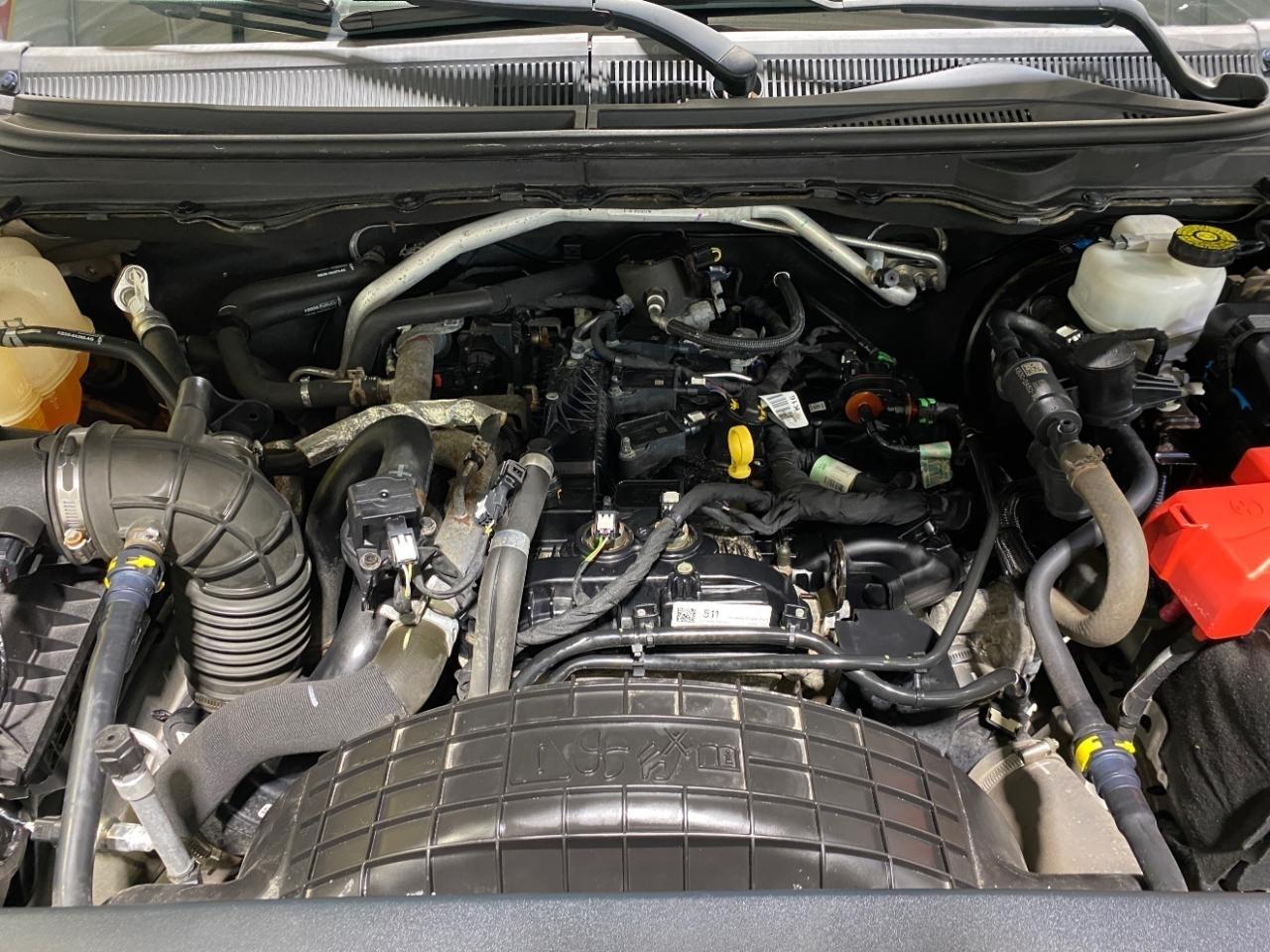 Ford Ranger  2019