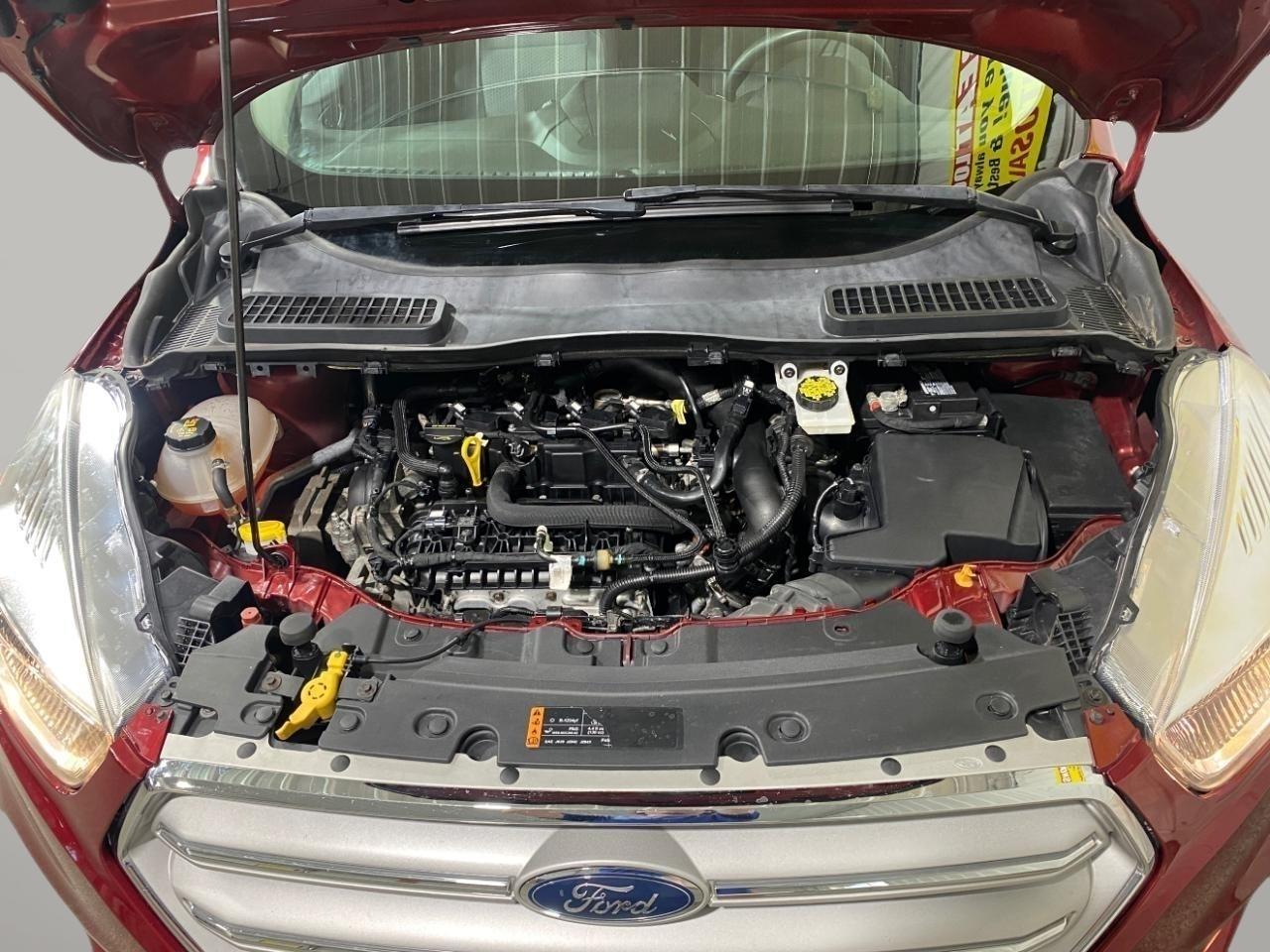 Ford Escape SE 4WD 2019