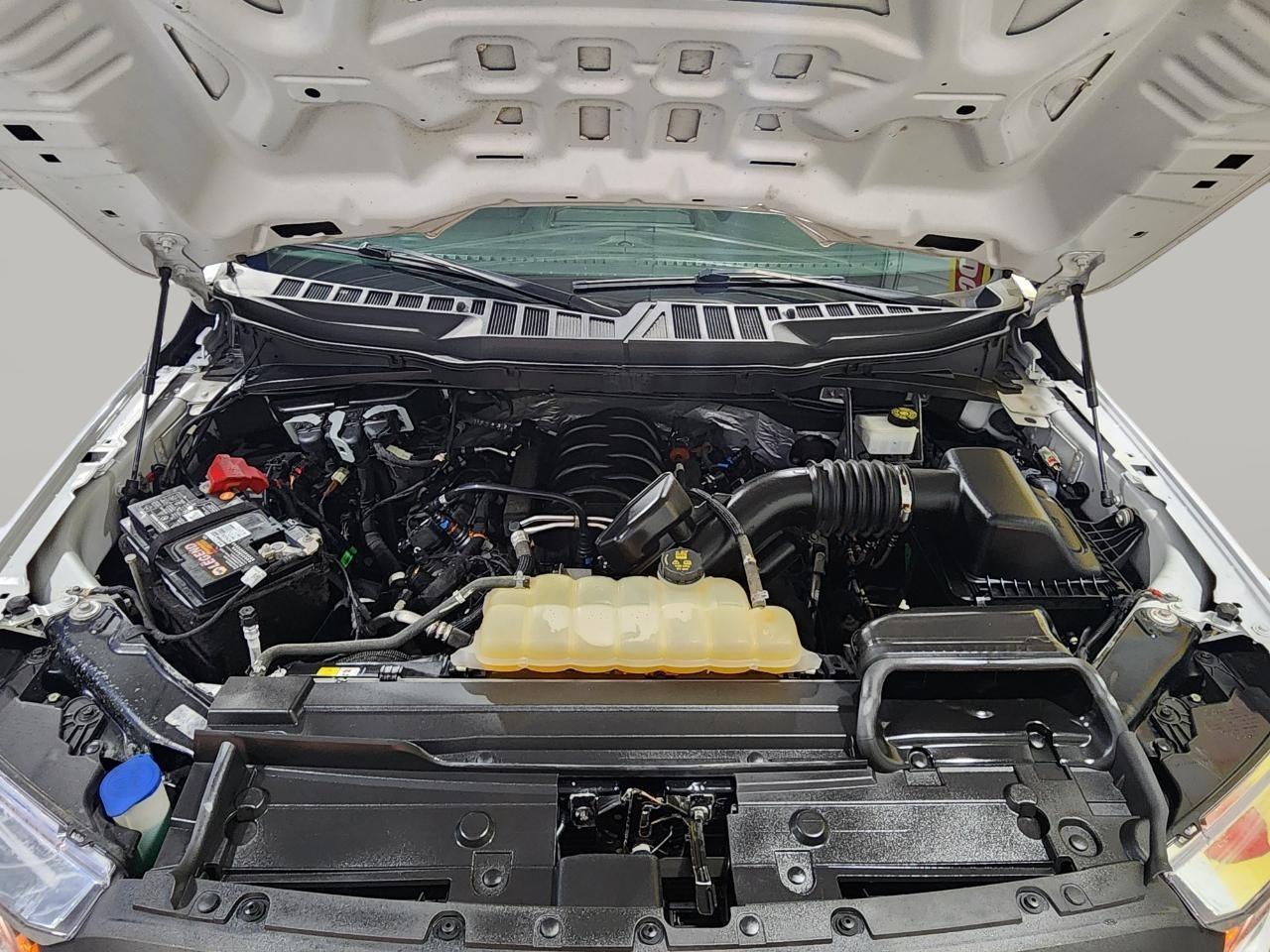 Ford F-150 XL 2021