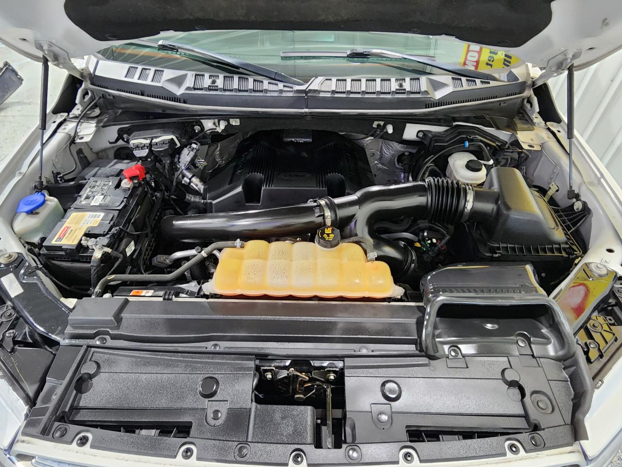 Ford F-150 XLT SuperCrew 5.5-ft. Bed 4WD 2018