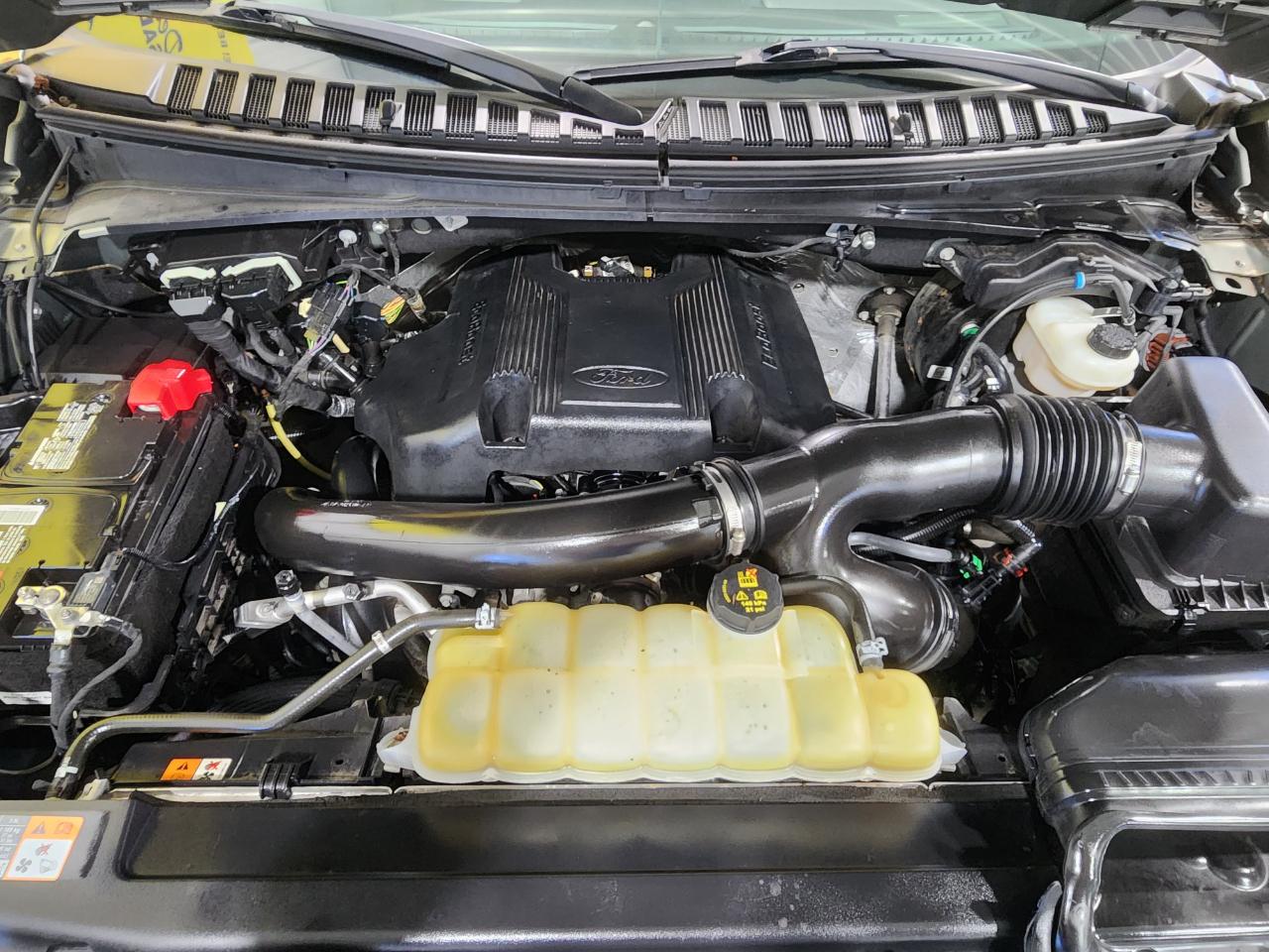 Ford Expedition XLT 4WD 2019