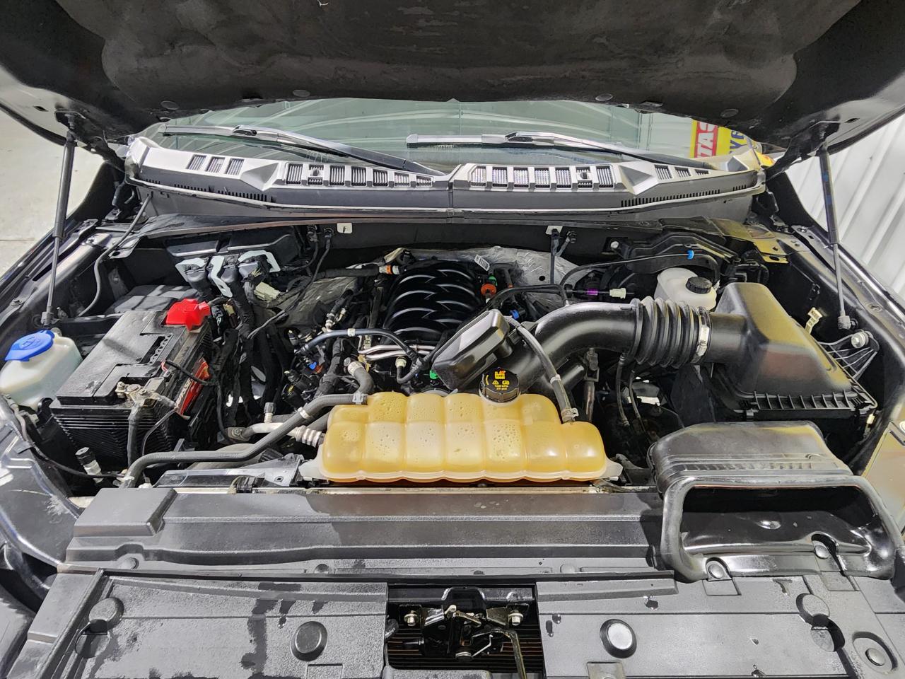 Ford F-150 XLT SuperCrew 6.5-ft. Bed 4WD 2020