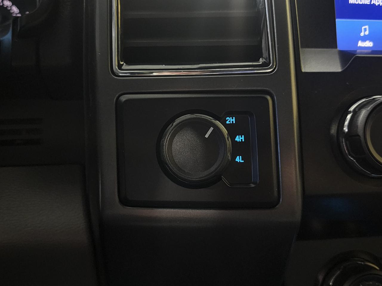 Ford F-150 XLT SuperCrew 6.5-ft. Bed 4WD 2020