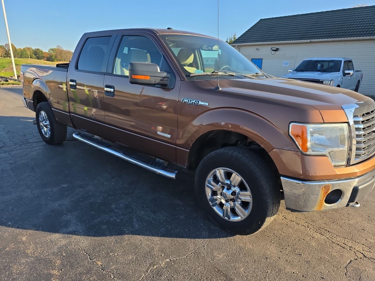 Ford F-150 4WD SuperCrew 145" Platinum 2011