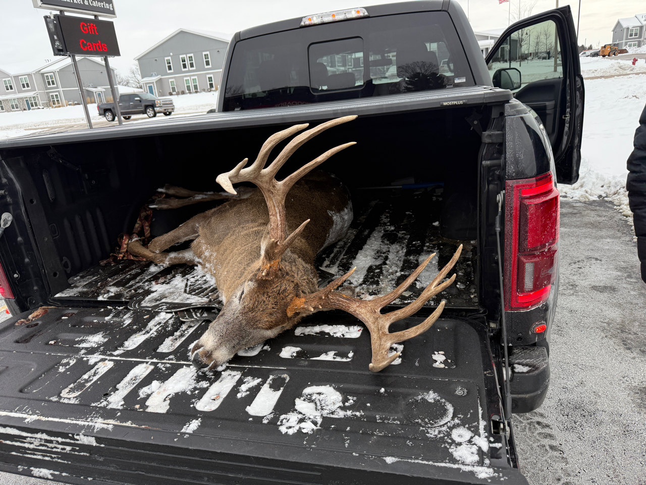 Ford F-150 Raptor 4WD SuperCrew 5.5' Box 2019