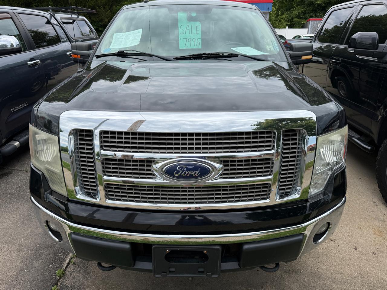 Ford F-150 4WD SuperCrew 145" Platinum 2009