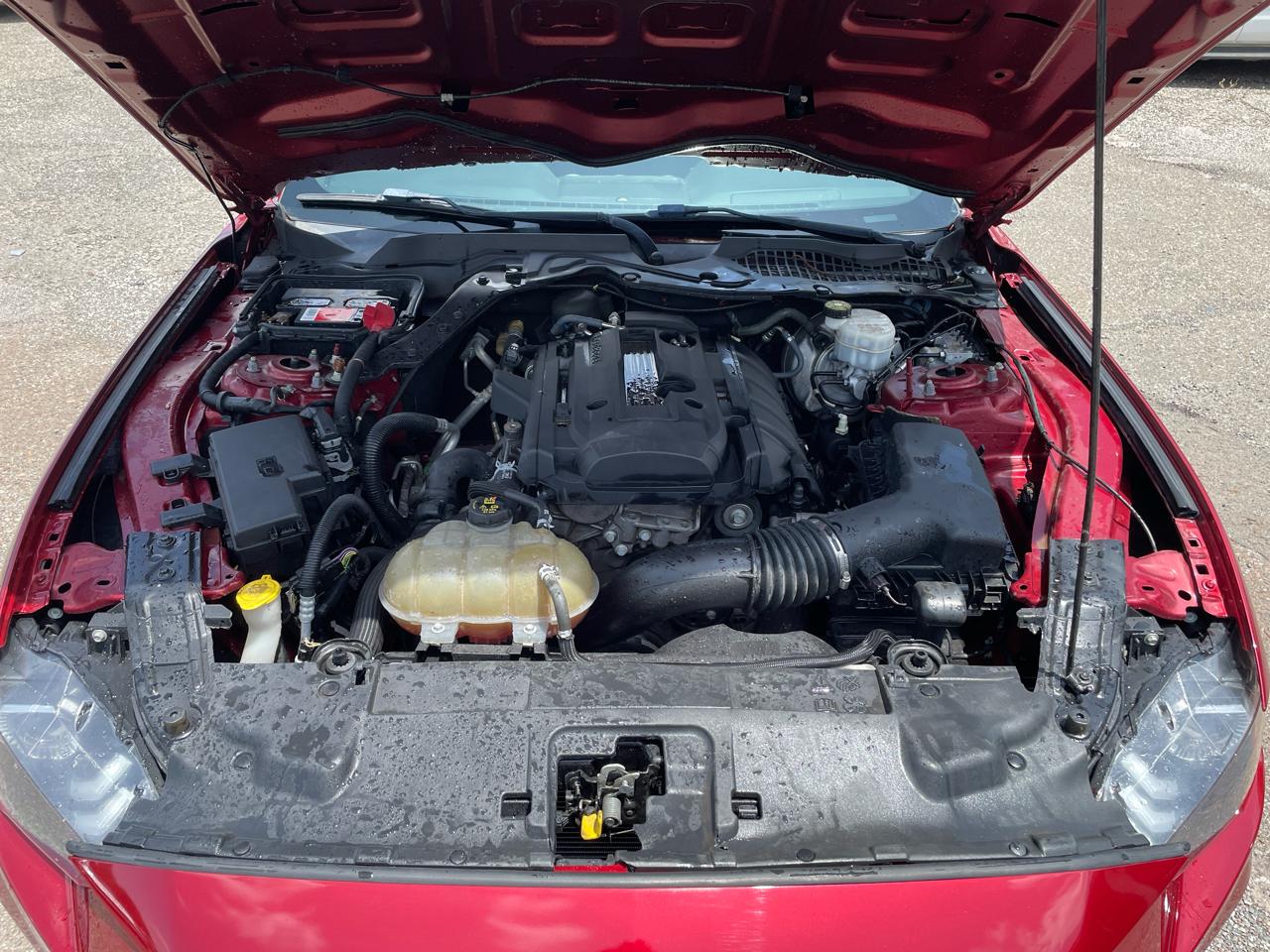 Ford Mustang EcoBoost Coupe 2018