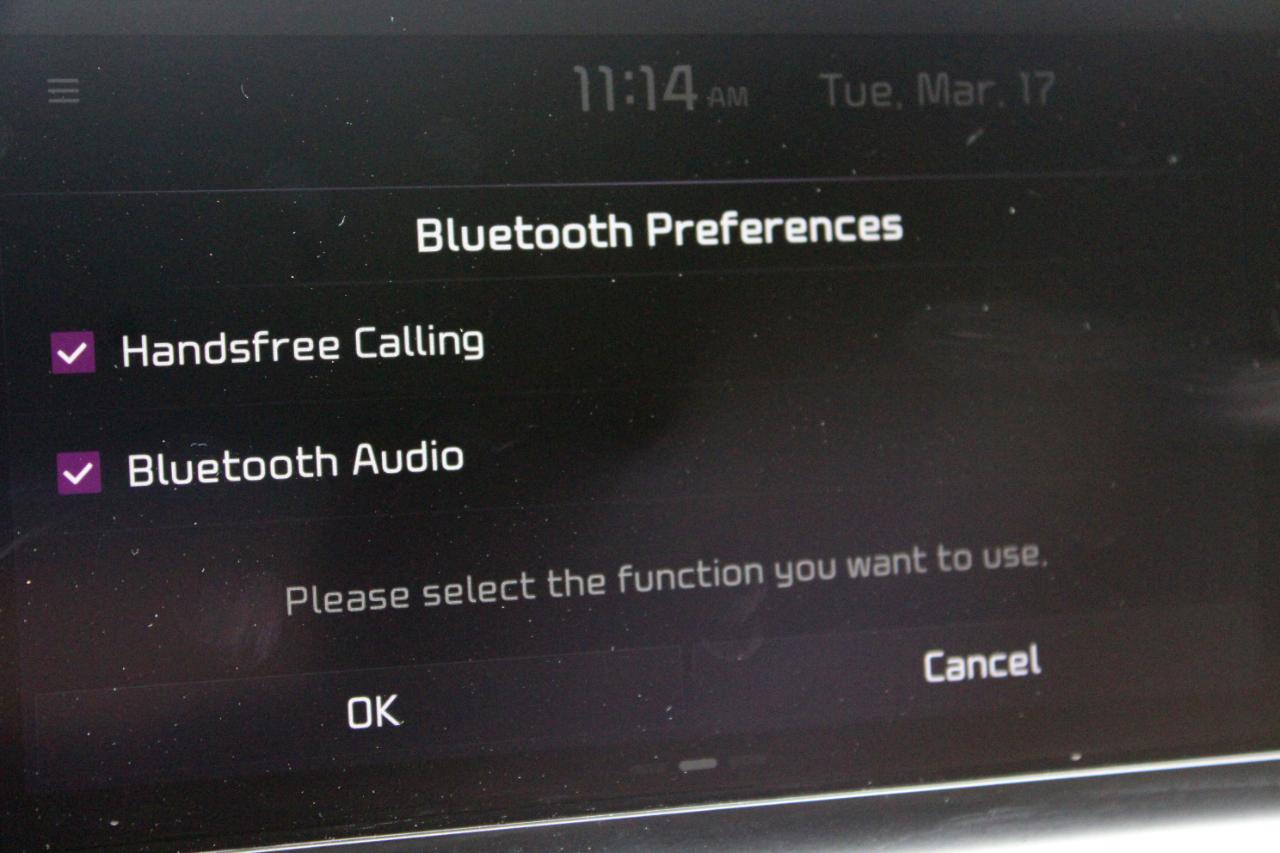 Kia Telluride SX 2022