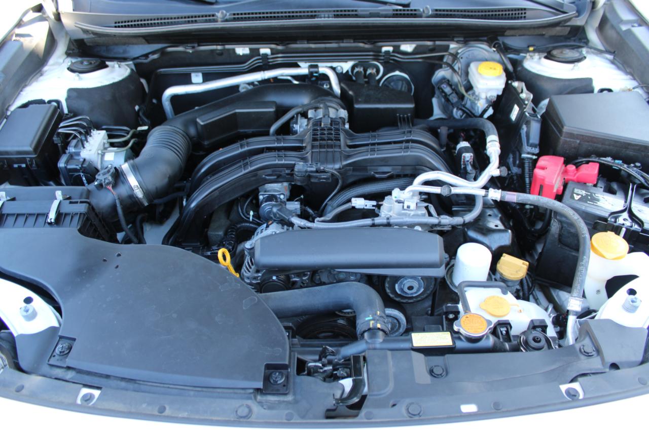 Subaru Outback Premium 2024