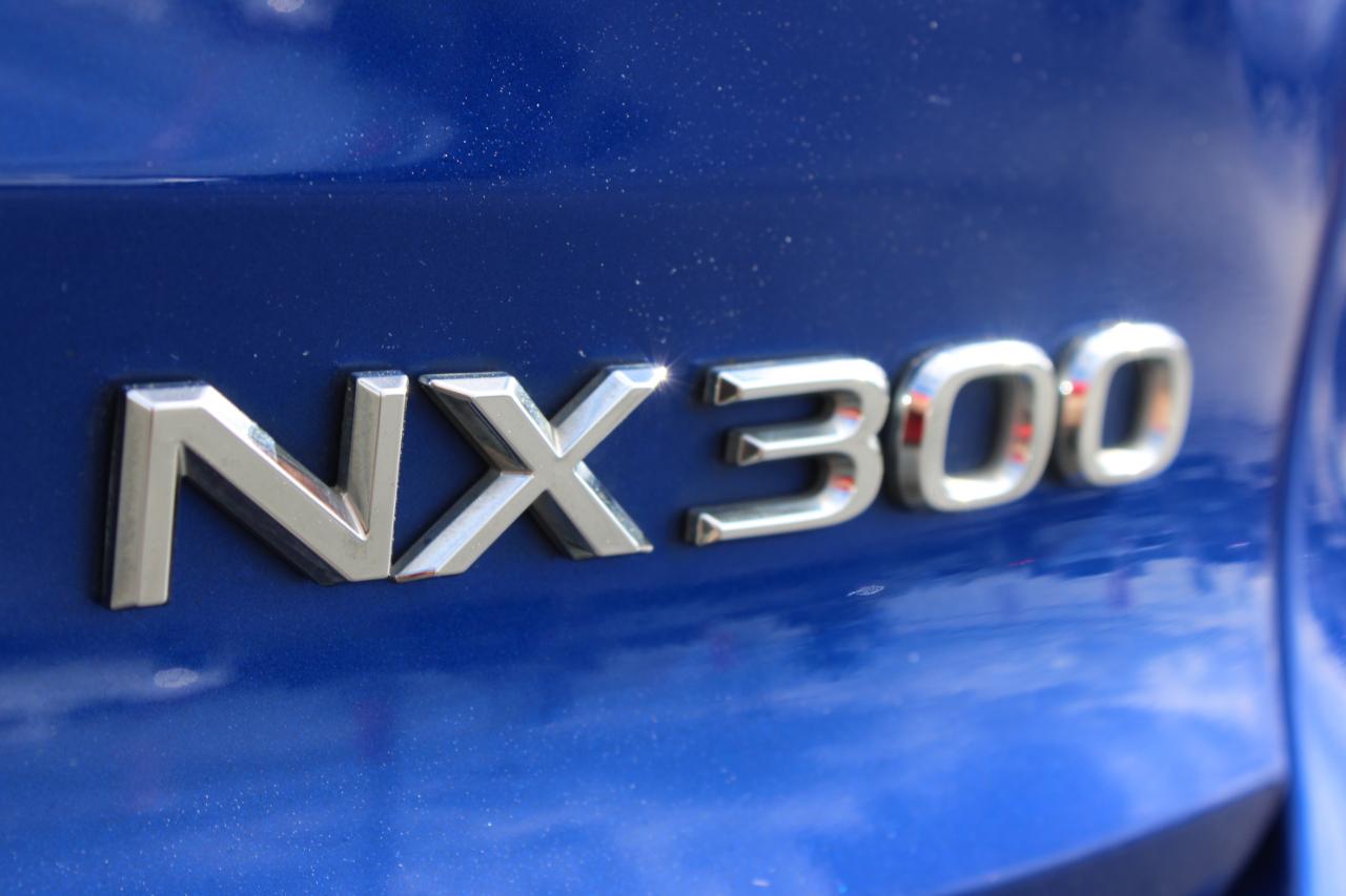 Lexus NX 300 F SPORT 2018