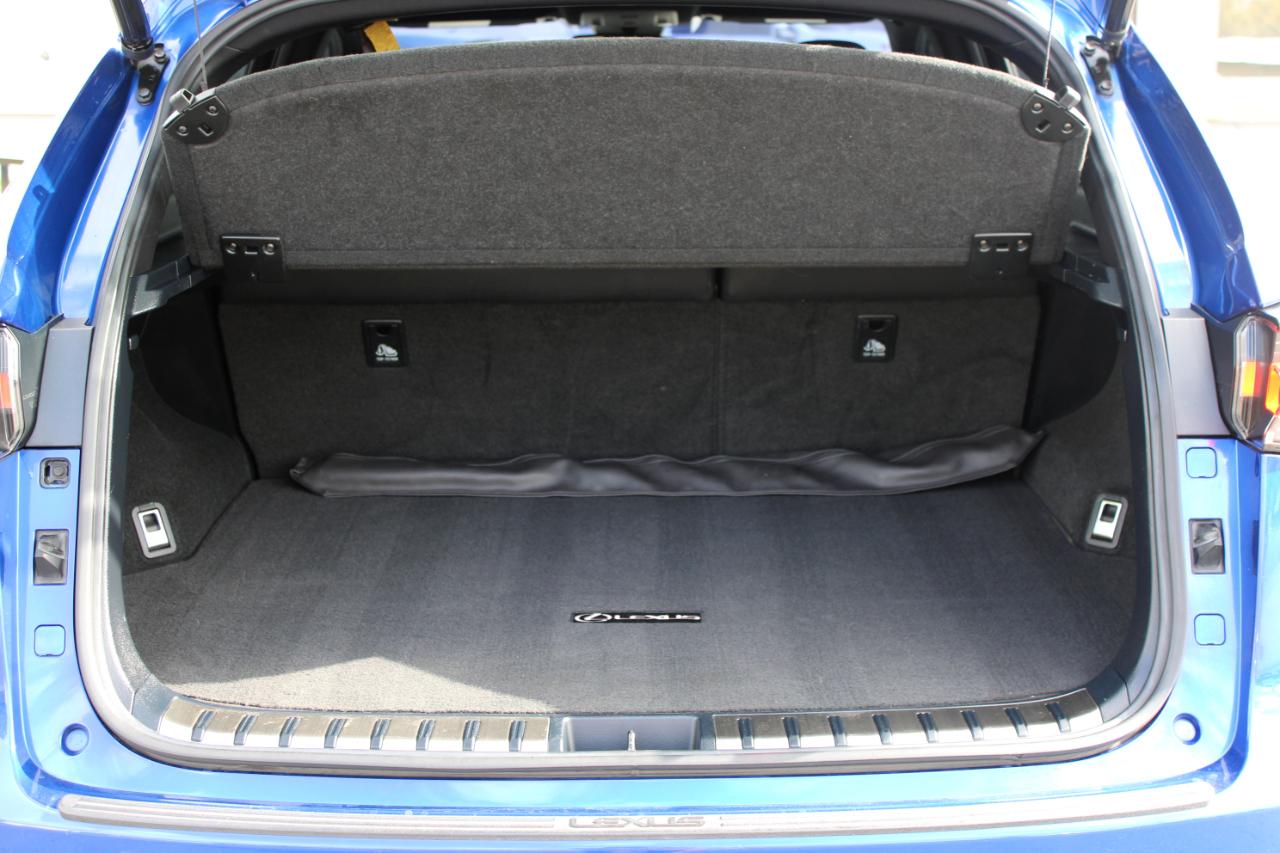 Lexus NX 300 F SPORT 2018