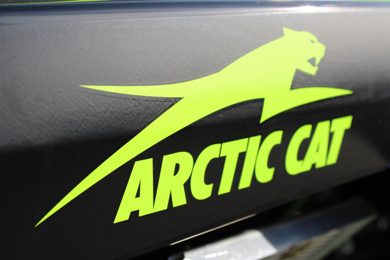 Arctic Cat Wildcat 1000  2025