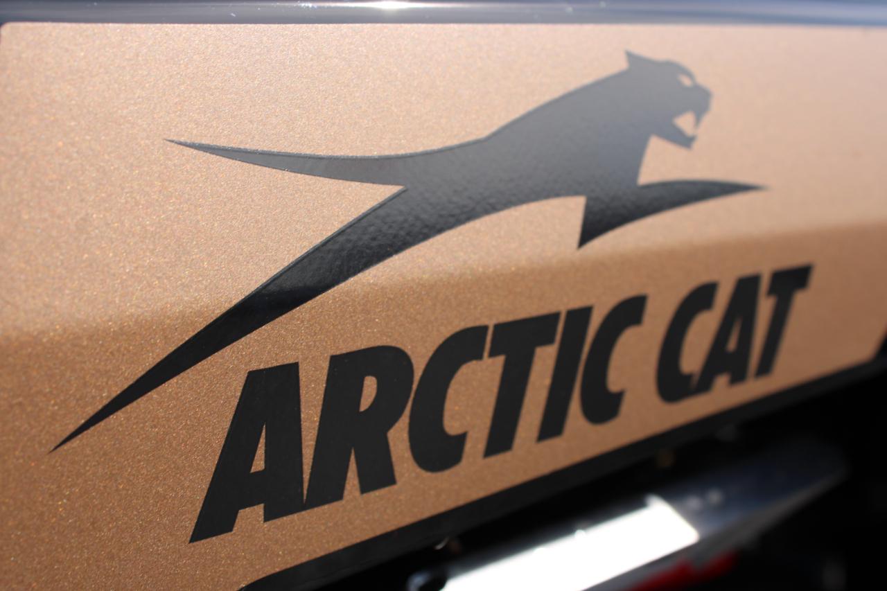 Arctic Cat Wildcat 1000  2025