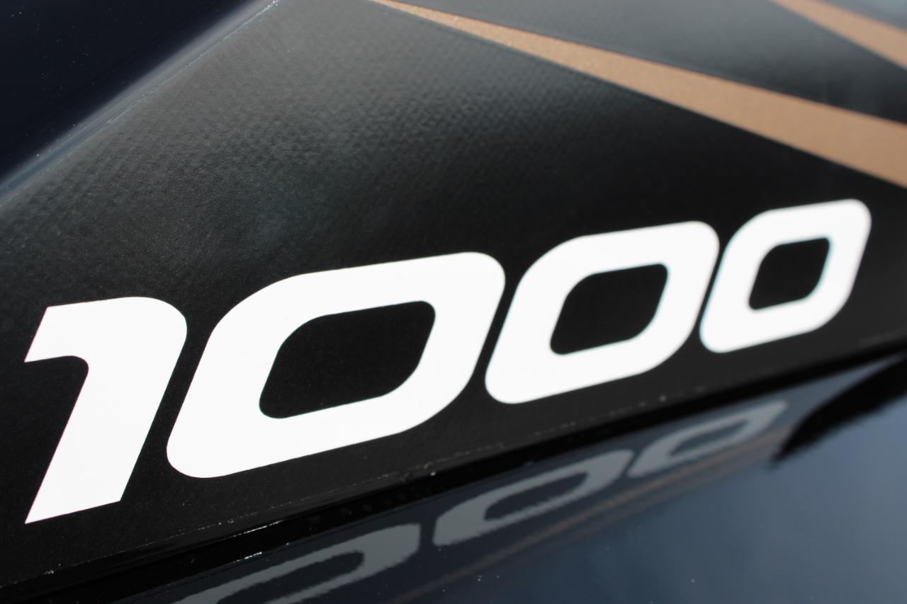 Arctic Cat Wildcat 1000  2025