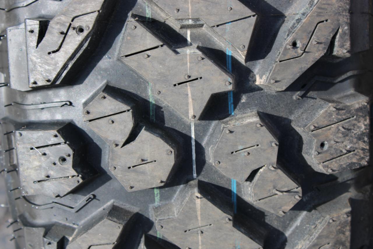 Arctic Cat Wildcat 1000  2025