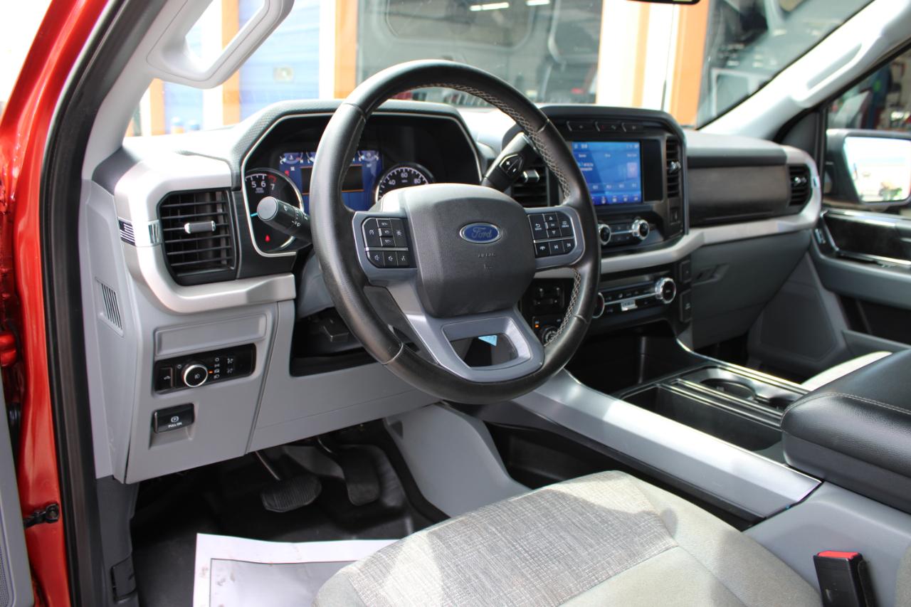 Ford F-150 XLT 2023