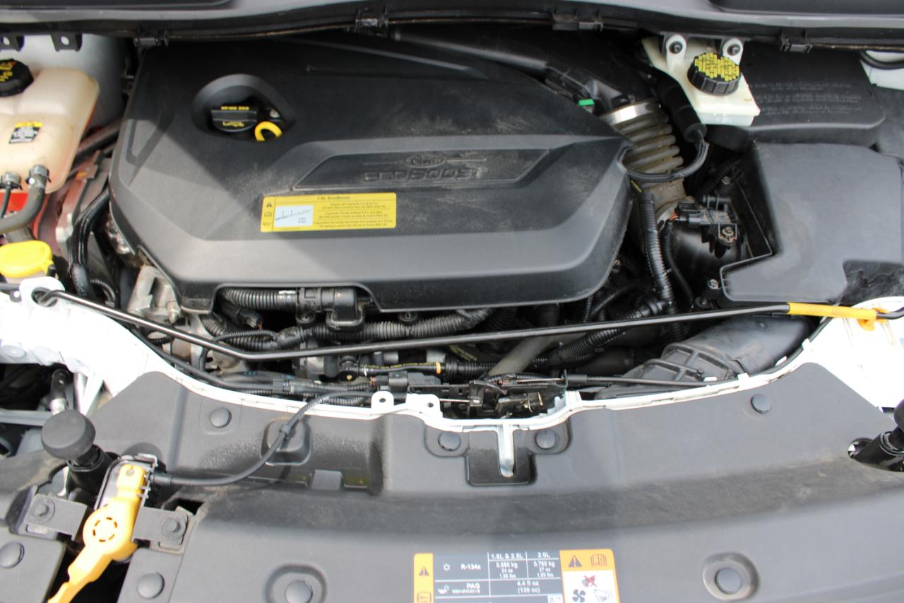 Ford Escape SE 2013