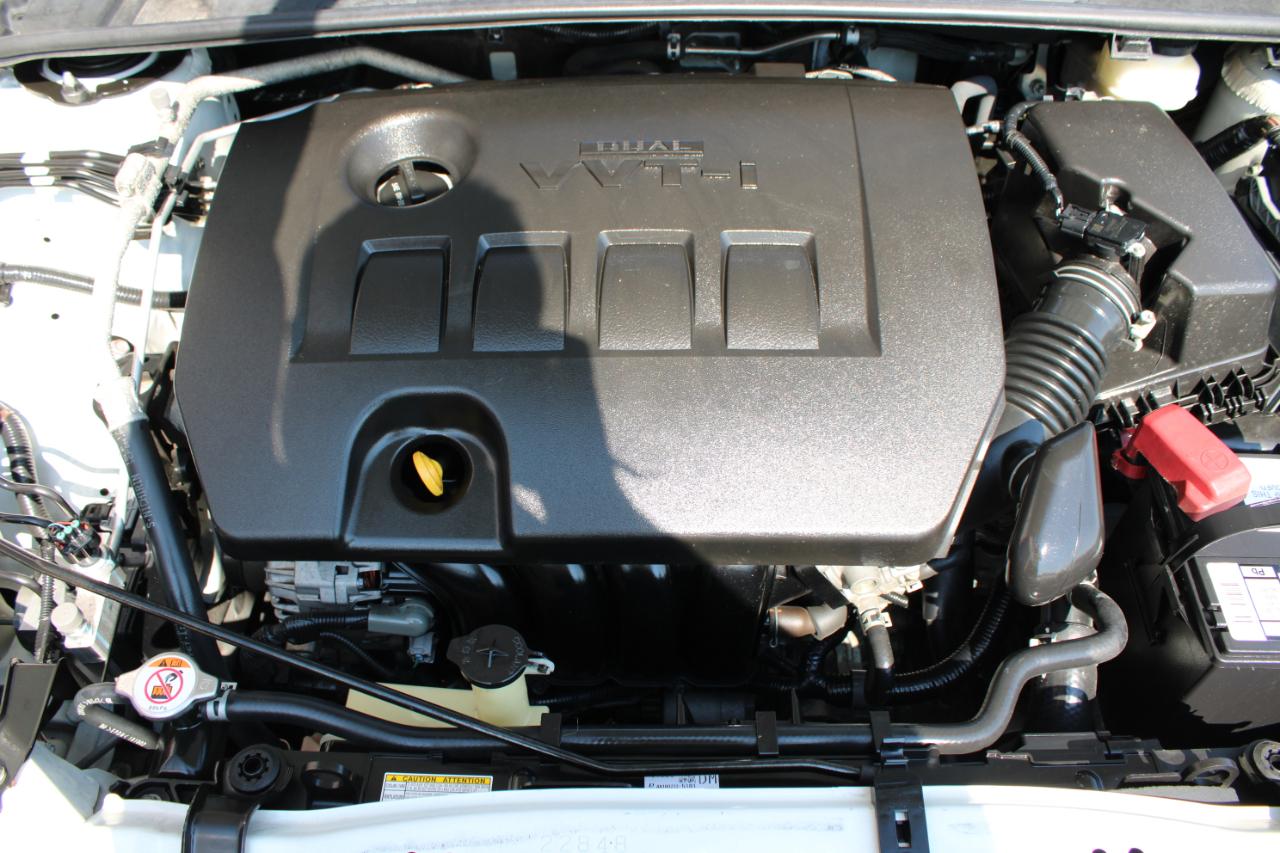 Toyota Corolla LE 2019