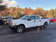 2010 Ford F-150 