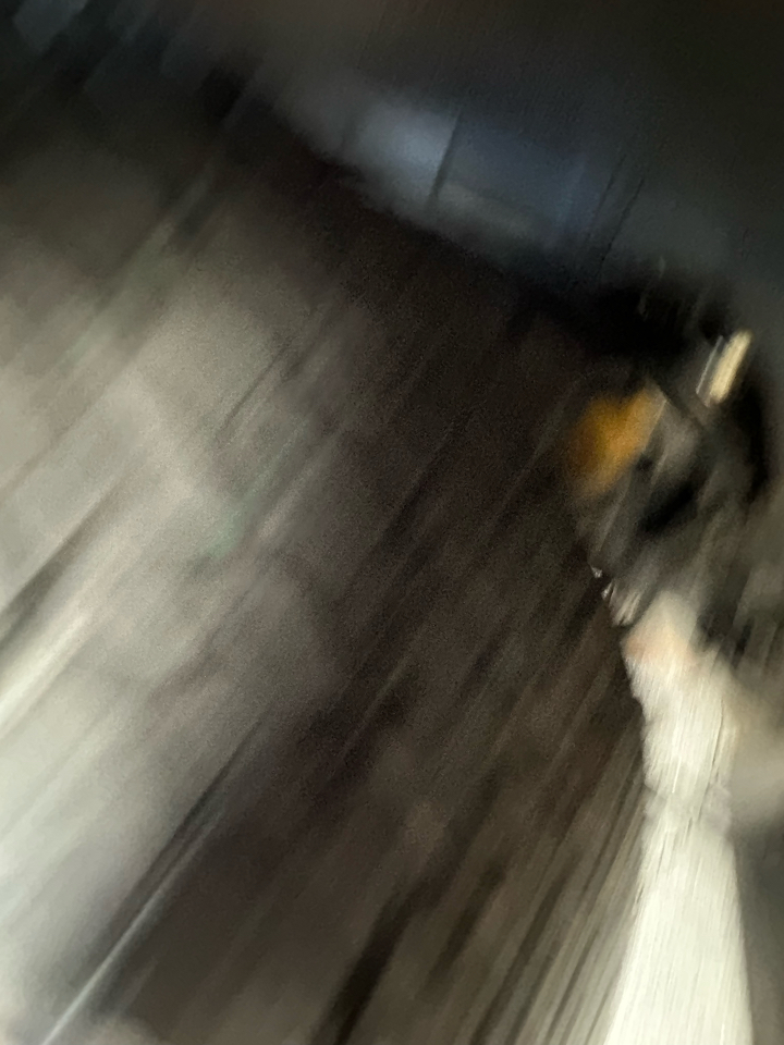 Toyota 4Runner Sport Edition 4WD 2007